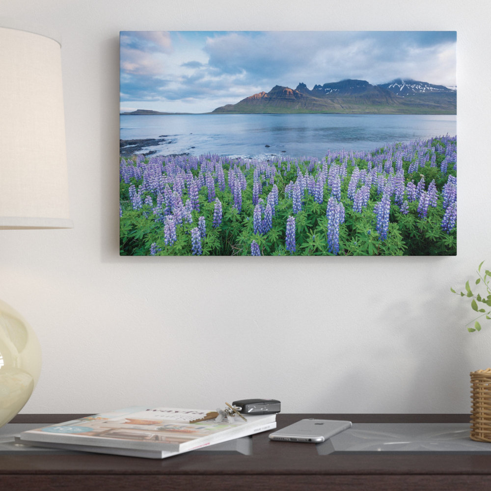 " Nootka Lupines I, Stodvarfjordur Fjord, Austurland, Iceland " by Gareth McCormack East Urban Home 