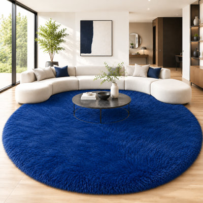 Ebern Designs Soft Fluffy Blue Shag Area Rug for Living Room Bedroom Nursery Kids Room
