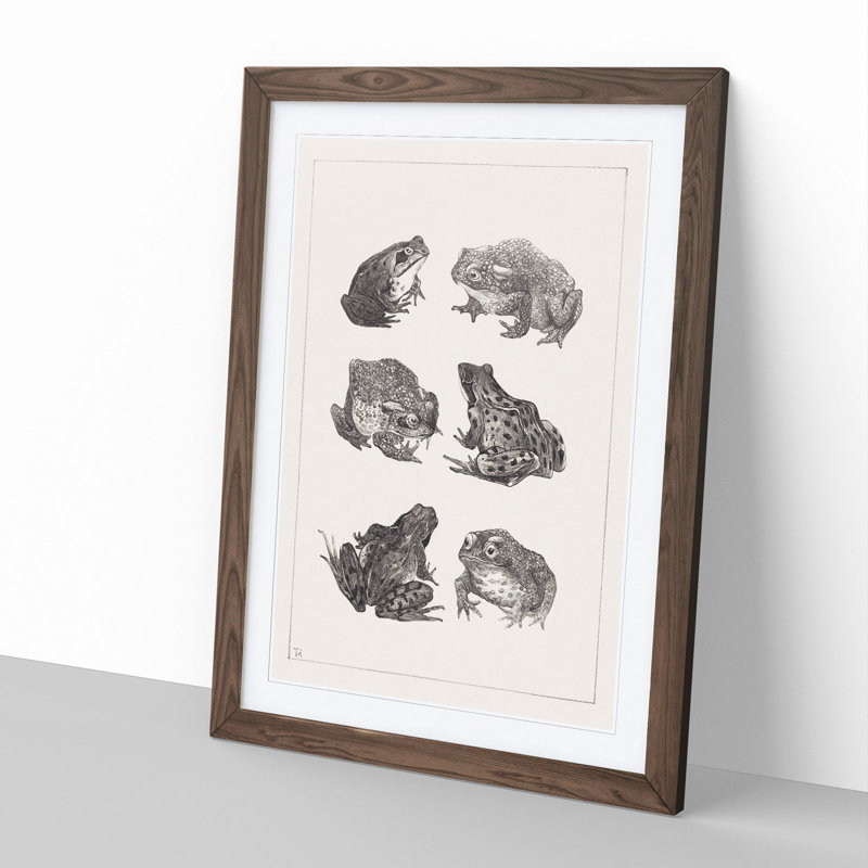 Frogs and Toads by Theo Van Hoytema - Picture Frame Painting, 48cm H x 36cm W x 2cm D, Walnut Framed