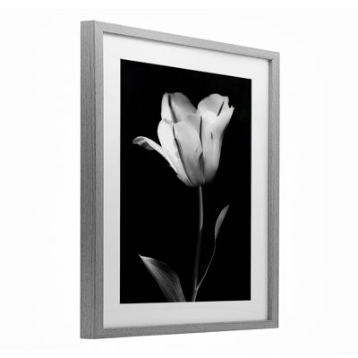 «Modern Tulip Stark Contrast», impression par CAD Designs