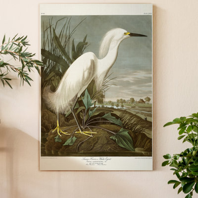 " Pl 242 Snowy Heron "