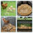 Steyning Fir Roosting Bars / Frames