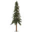Arbre de Noël pin alpin-187167537