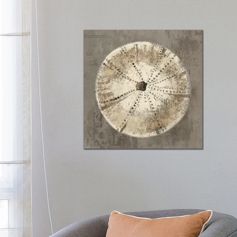 Sand Dollar I 1 Piece Wrapped Canvas Wall Art, 66.04 cm H x 66.04 cm W x 3.175 cm D