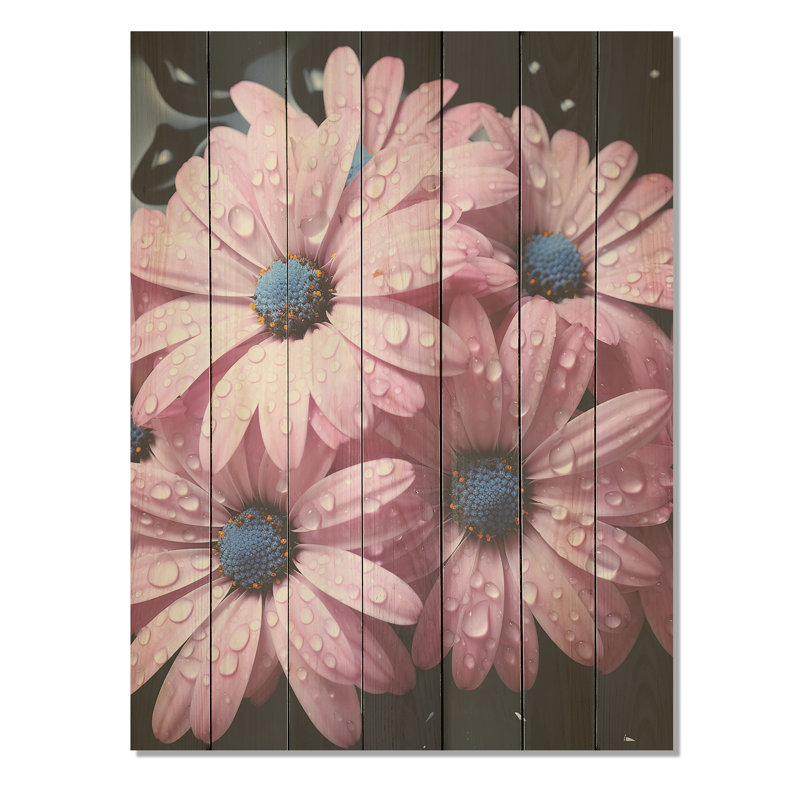 «Daisy Beauty» rose et bleue - marguerites sur bois, H 40 po x l 30 po