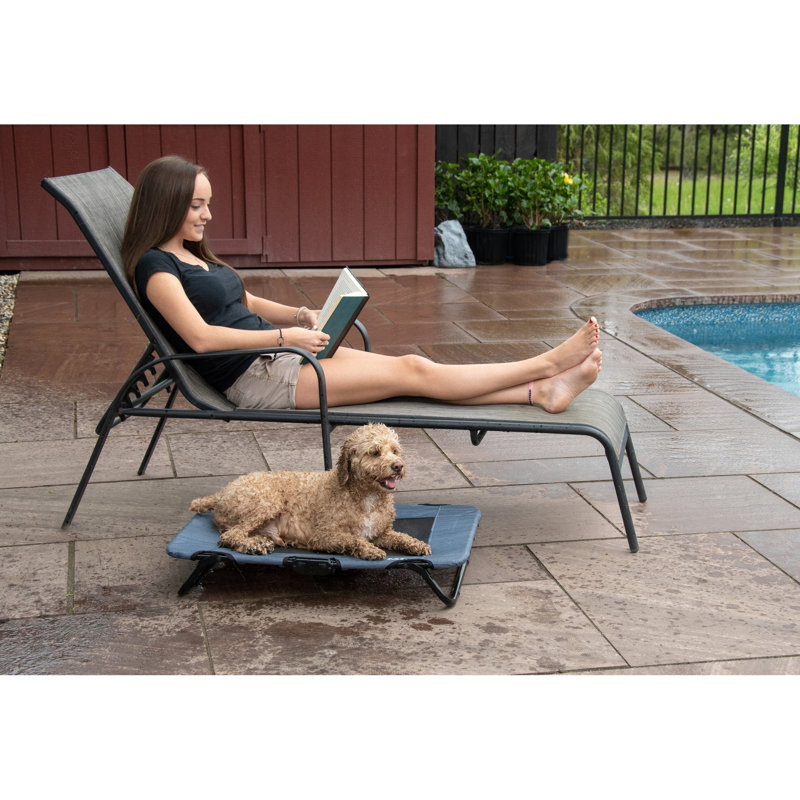 Nylon Pet Bed, 5.60" H x 20.00" W x 30.00" D, LAKE BLUE