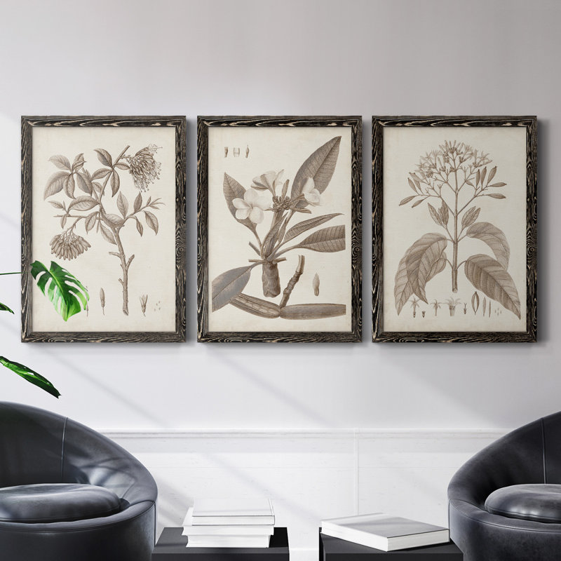 Antique sépia botanicals I - ensemble de 3 reproductions d'art sur toile, H 31,5 po x l 47 po x P 1,5 po