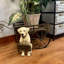 Statue de jardin Welcome Don't Stop Retriever