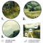 «Green Peaceful Valley I», ensemble d'art mural-2063658973-2063658972