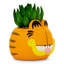 Plante de 6 po