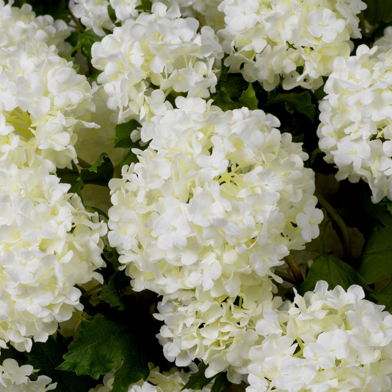 Bouquet of Hydrangeas Snowball Real Touch 36 Pcs, White