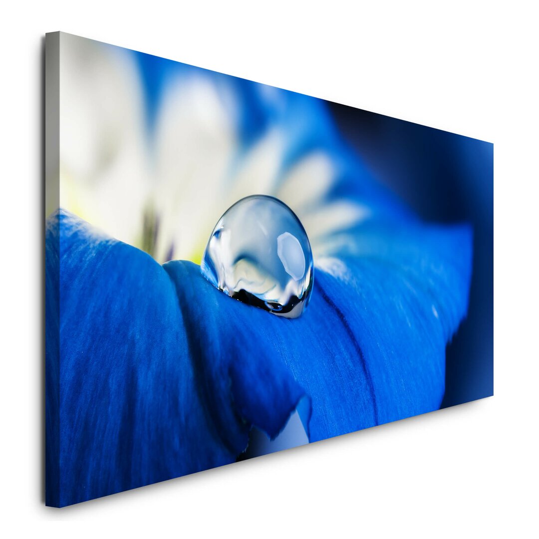 Leinwandbild Blaue Blume