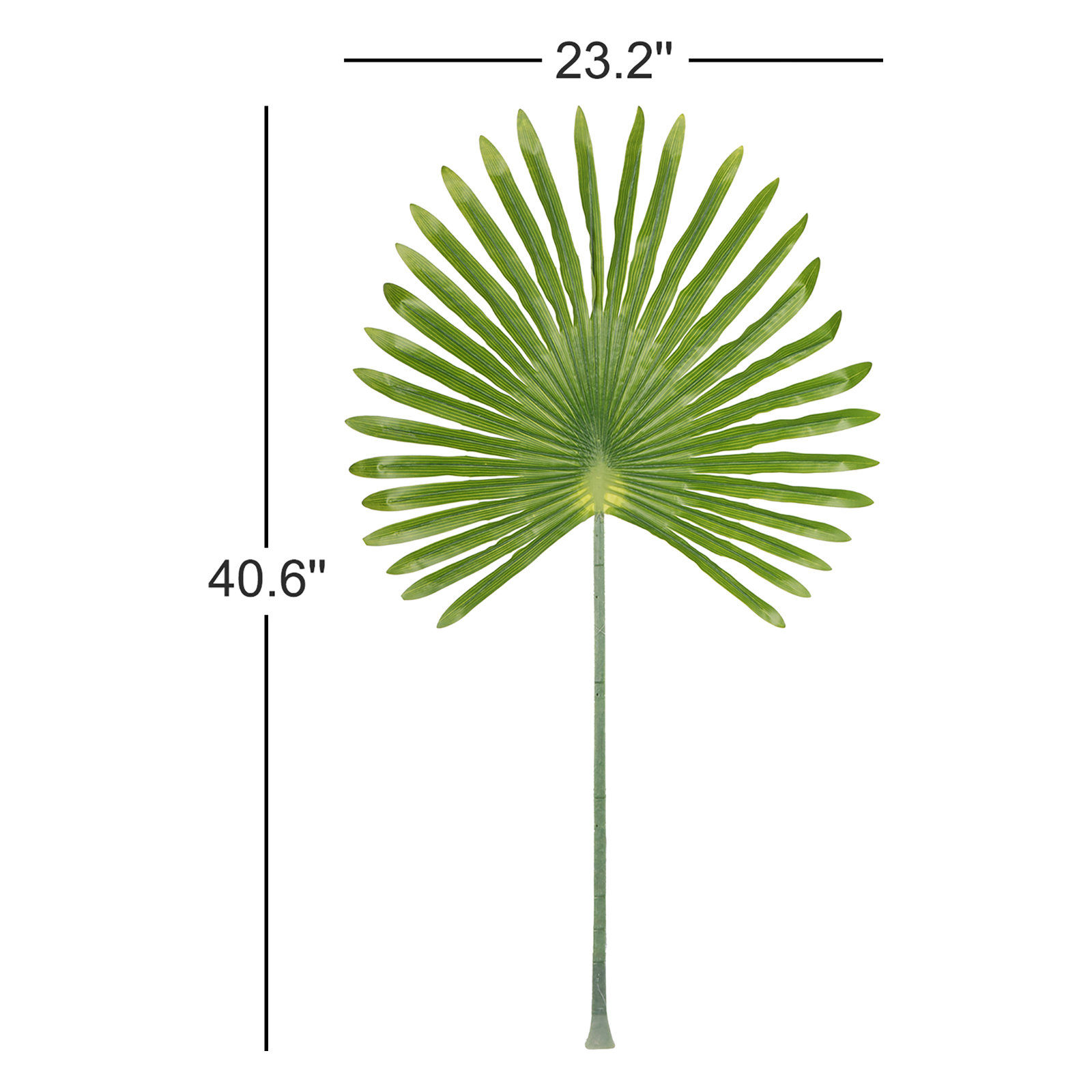 Zana Fan Palm Leaf Stems, Dark Green