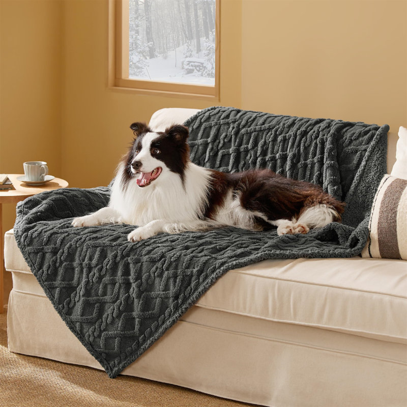 Pet Blanket