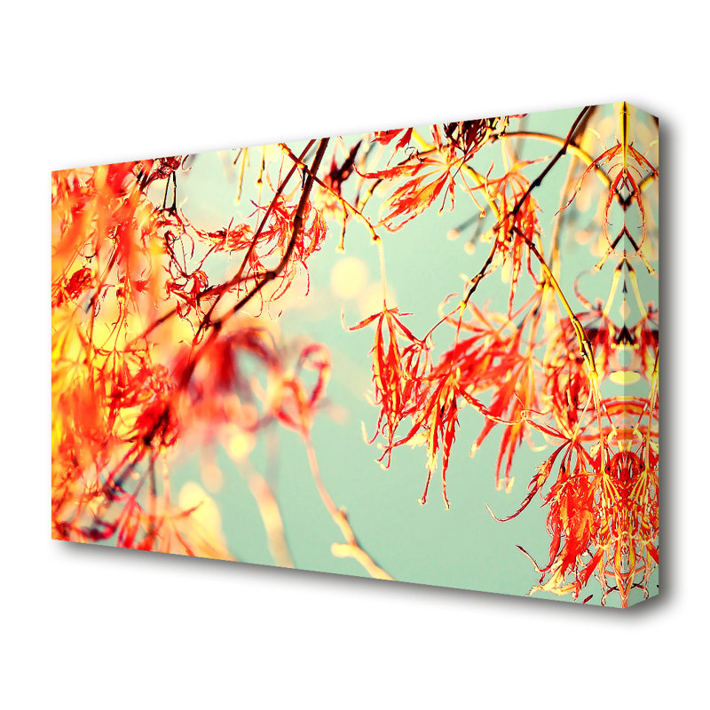 A Broader View Flowers - Wrapped Canvas Print, 35.5 cm H x 50.8 cm W