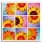  «Sunflowers» par Mark Ashkenazi, art mural en verre acrylique-1033065320