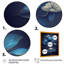 Fleurs chinoises bleues et blanches I - reproduction sur toile-314836105-314836107