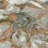 Machine Washable Indoor/Outdoor Molewski ACN2340 Floral Rug-885105155