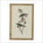 S/4 Bird Framed Print