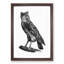 Egyptian Owl Illustration - Picture Frame Drawing Print-55539658-55539659