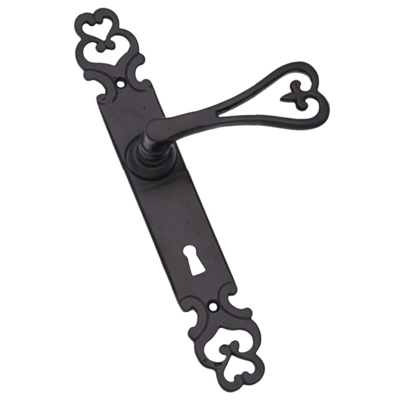 Prokop Keyed Door Handle