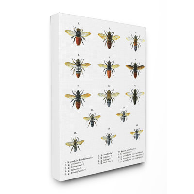 « abeilles scientifiques », impression