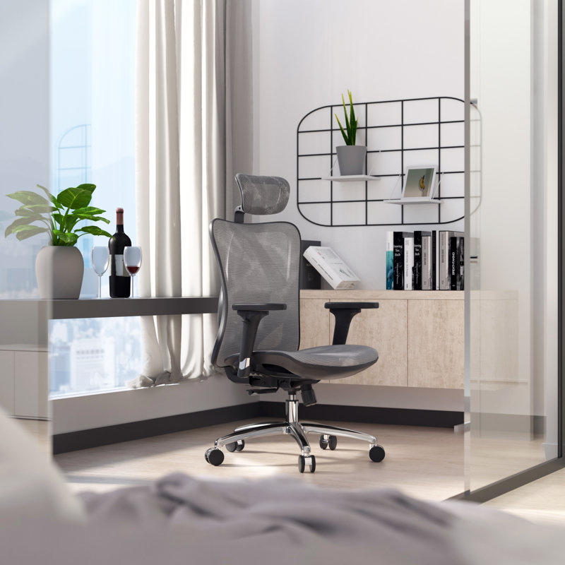 Ergonomic Office Chair, Mesh Desk Chair with Adjustable Armrests, Grey
