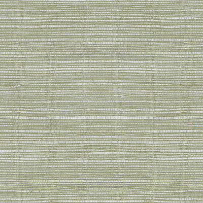 Superfresco Easy Emperor Grasscloth Sage Wallpaper