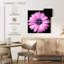 Marguerite rose-440236391
