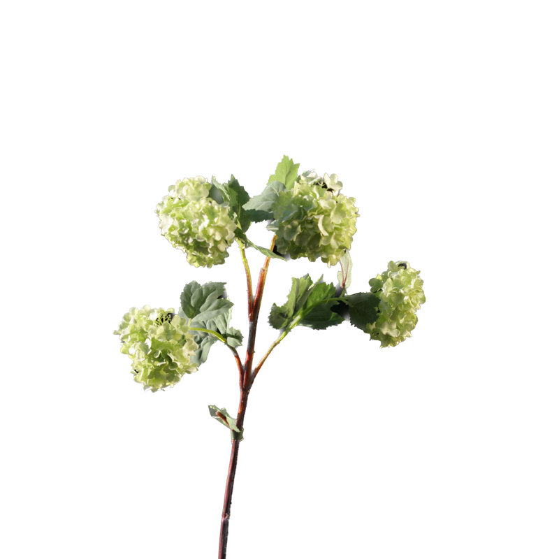Viburnum Spray, Pale Green