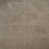 Greige Beige