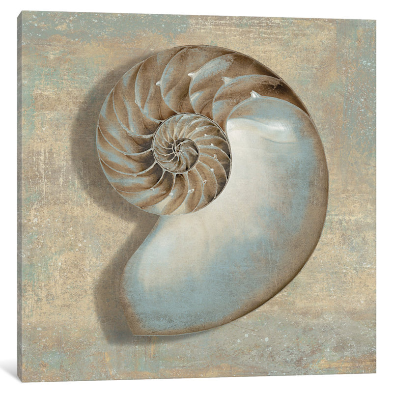«Aqua Nautilus», impression sur toile, H 12 po x l 12 po x P 0,75 po