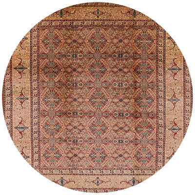 Thiokk Oriental Indoor Rug