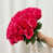 Rose rouge est en rupture de stock