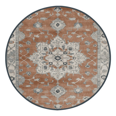 Machine Washable Overdyed Brown Area Rug