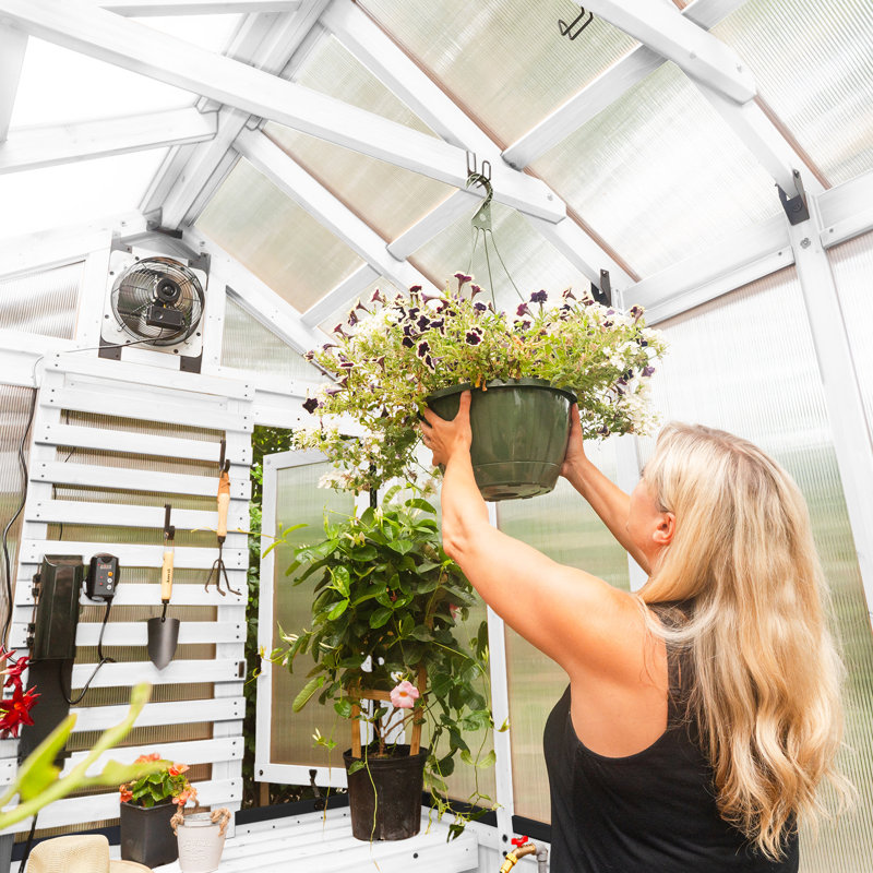 Bellerose 9 ft. x 6 ft. White Cedar Wood and Polycarbonate Greenhouse