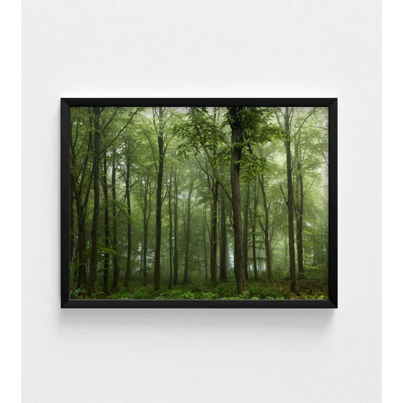 Impression de forêt brumeuse: art danois de paysage (encadré ou non), H 42 po x l 56 po, Noir