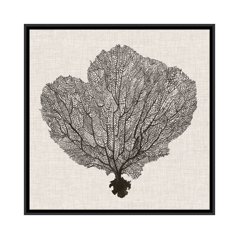 «Shadow Sea Fan I» par Grace Popp - impression d'art graphique, H 37 po x l 37 po x P 1,5 po, Toile avec cadre noir