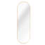Miroir ou miroir de salle de bain Gold 63 x 20IN