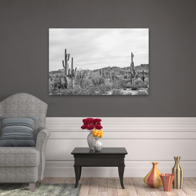 Jardin Sonoran Wonderland BW