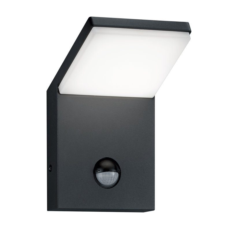 Edzard Anthracite Integrated LED Outdoor Flush Mount