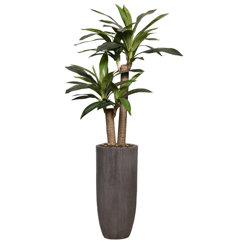 Panama artificiel 70 po Dracaena en pot