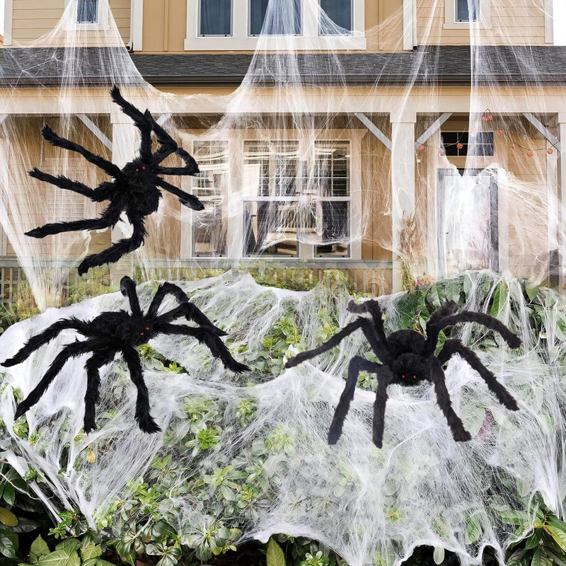 Halloween Spider