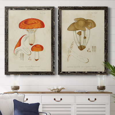 Toile encadrée de qualité supérieure Mushroom Variétés
