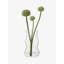 Sculpt Hurricane Candle Holder-863385421-863385416