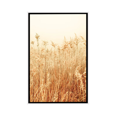 Nordic Winter II by Olivia Joy StClaire - Print on Canvas