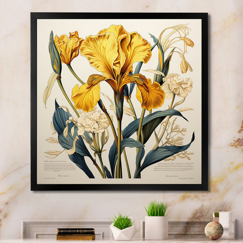 Iris jaune, illustration rétro, H 30 po x l 30 po x P 1 po, Cadre simple noir