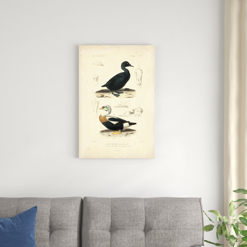 Étude de canard antique I, H 30 po x l 20 po x P 1,25 po