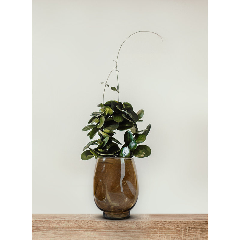 Cristene Glass Table Vase