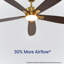 Ventilateur de plafond intérieur / extérieur de 56 po Kaminski avec lumière et télécommande, ensemble d'éclairage à DEL à intensité variable 6 CCT - bronze champagne avec chêne noirci réversible / cerisier foncé-690438732-690438734